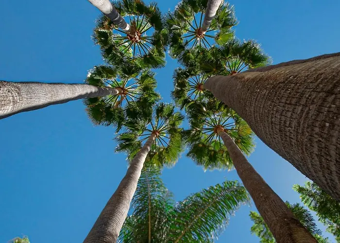 Oasis De Capistrano, Calle Palmas 24 B * 内尔哈