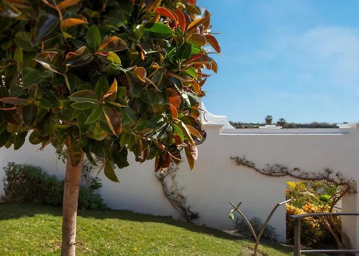 Oasis De Capistrano, Calle Palmas 24 B 内尔哈